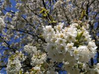 IMG_20190418_124612.jpg